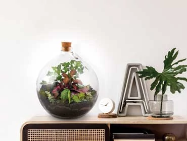 Kristályüveg florárium