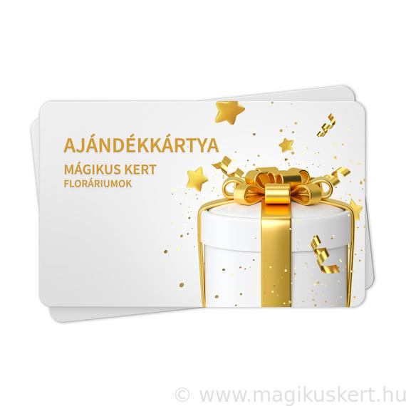 Florárium ajándékkártya I Mágikus kert