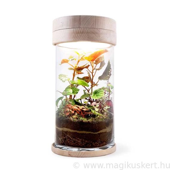 Florárium lámpa I Mágikus kert