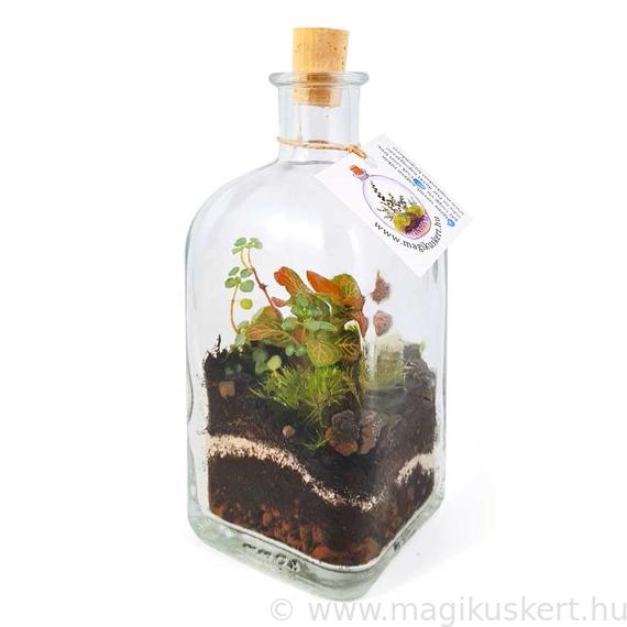 Florárium szögletes üvegben I Mágikus kert