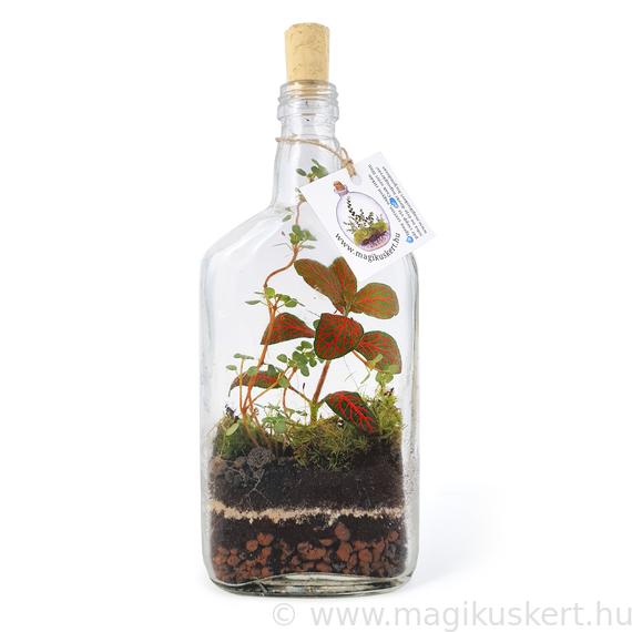 Florárium laposüvegben I Mágikus kert