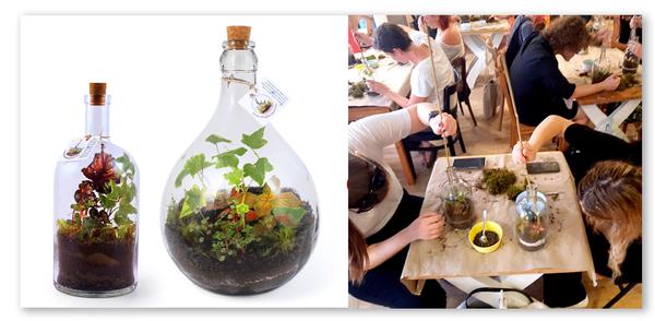 Florárium készítő workshop