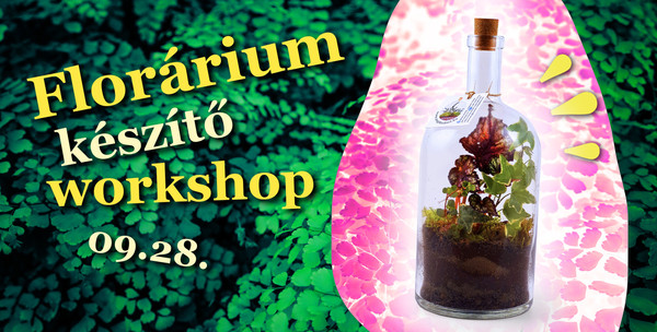 Florárium készítő workshop