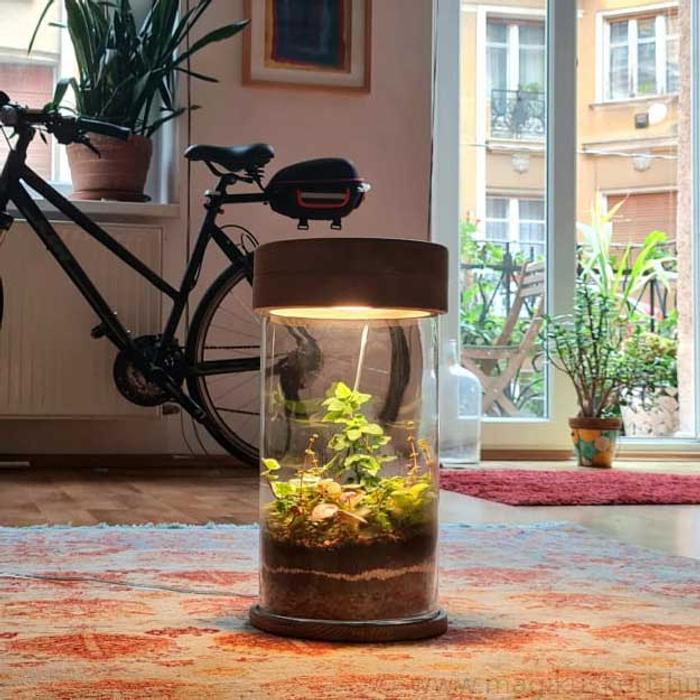Florárium lámpa I Florárium webáruház