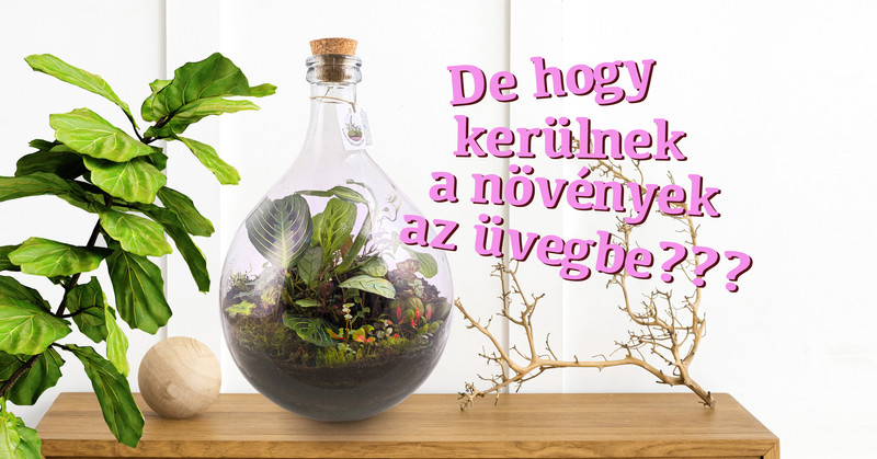 Florárium készítő workshop a Mágikus kerttel