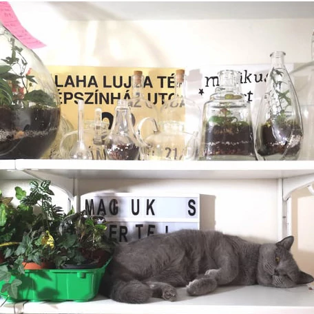 Mágikus kert floráriumokI Rólunk