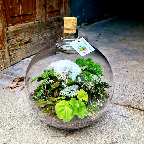 Kristályüveg florárium erdei színekben