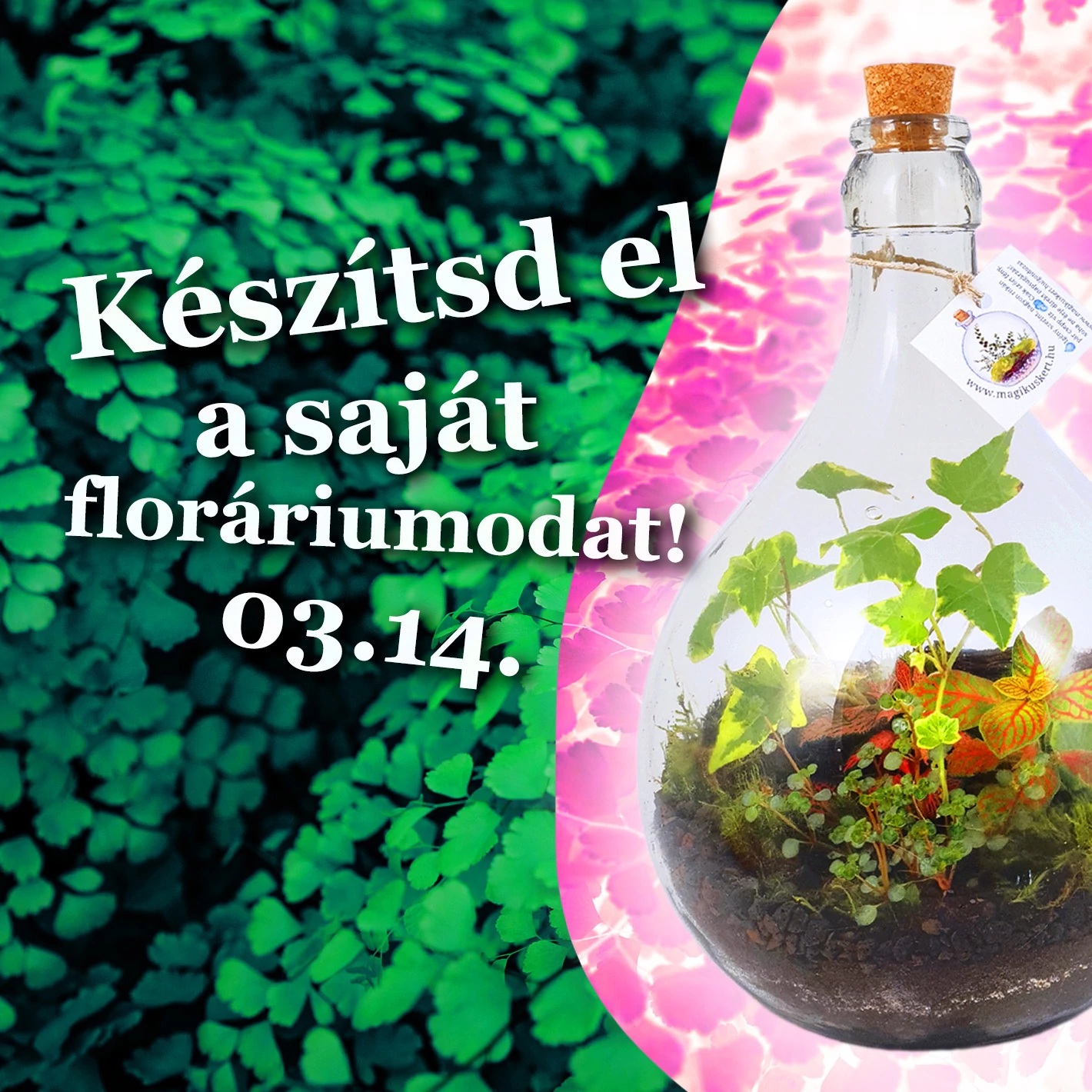 Florárium készítő workshop